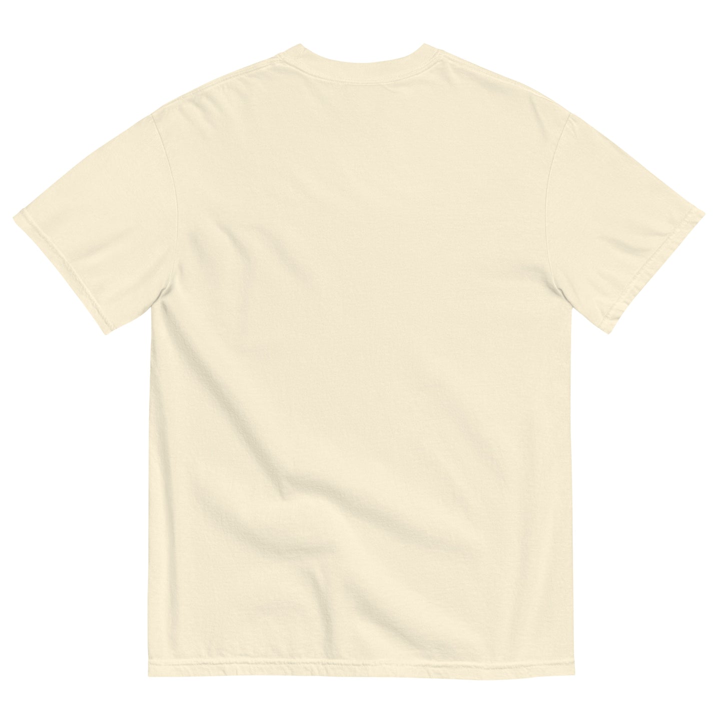 Black Rua Princesa Shirt